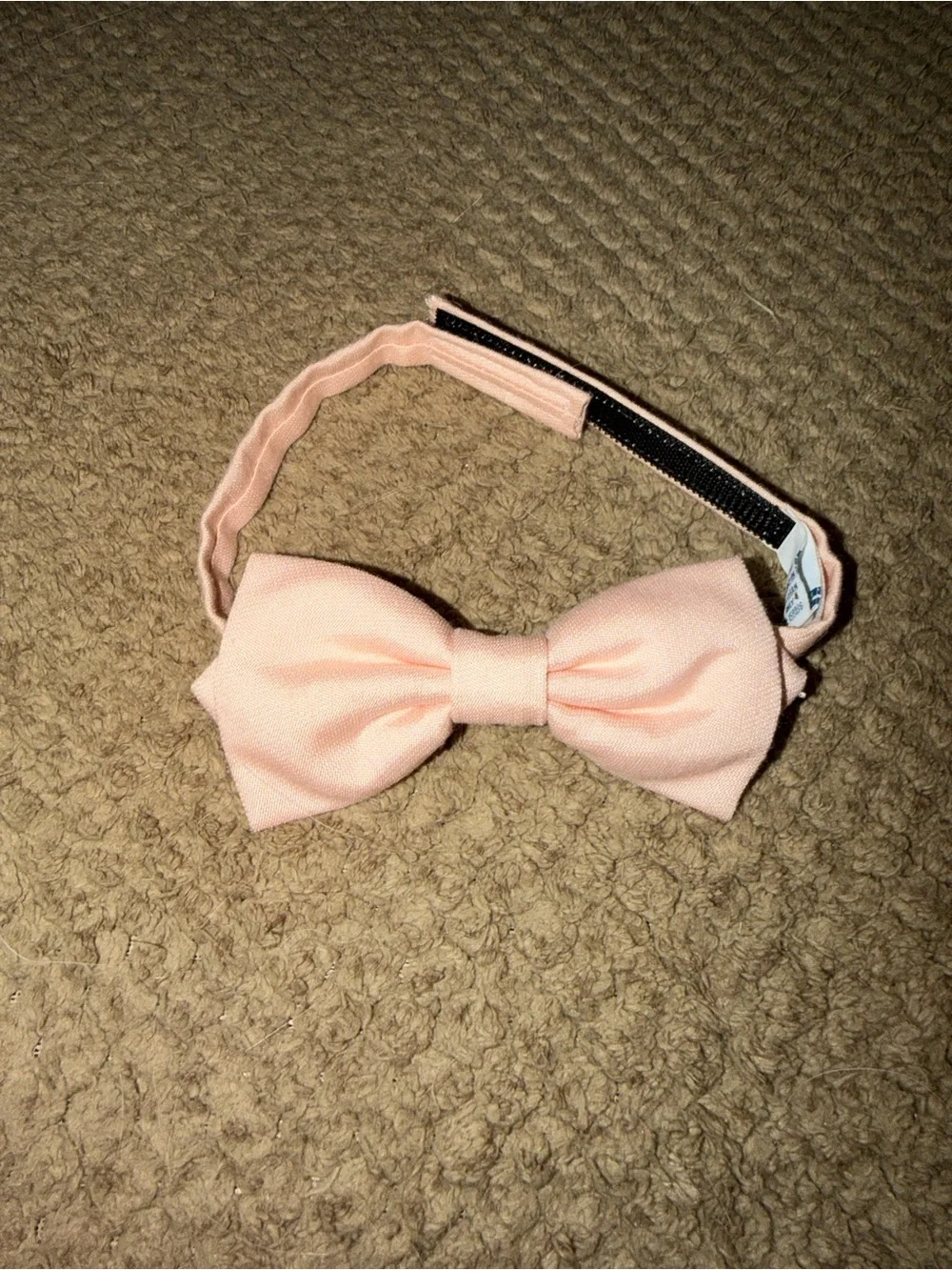 Birdy Grey Harry Kids Bow Tie - Blush Pink